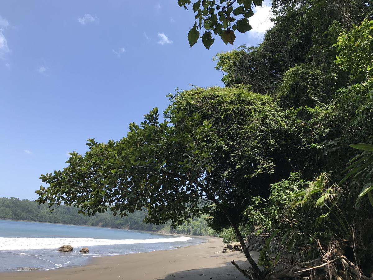 Mapara Crab Lodge バイーア・ソラノ エクステリア 写真