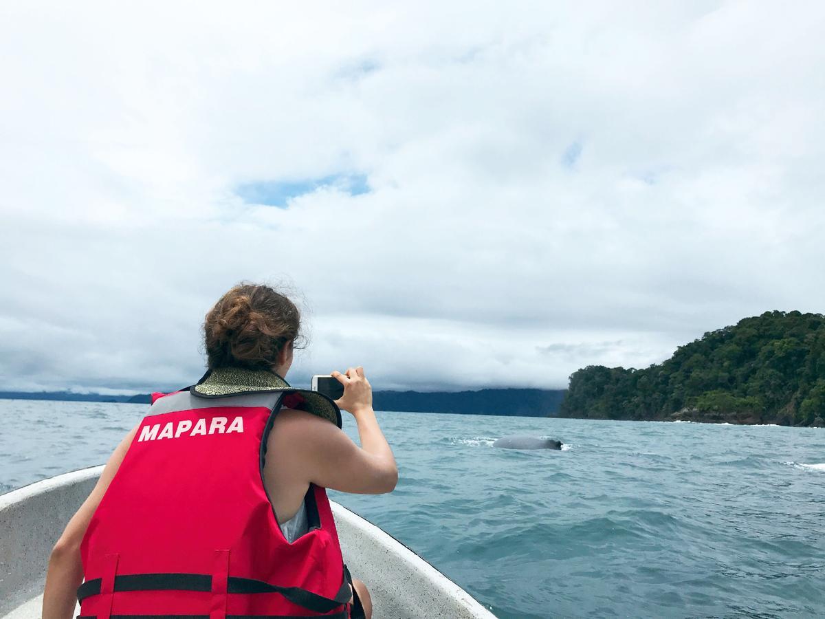 Mapara Crab Lodge バイーア・ソラノ エクステリア 写真